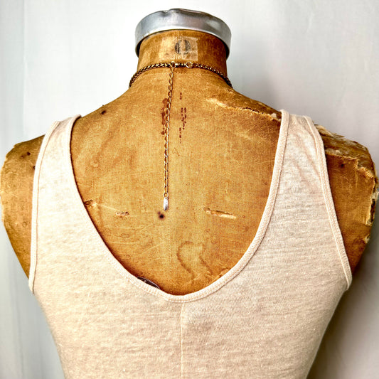 Beetle with Two Dried Sprigs